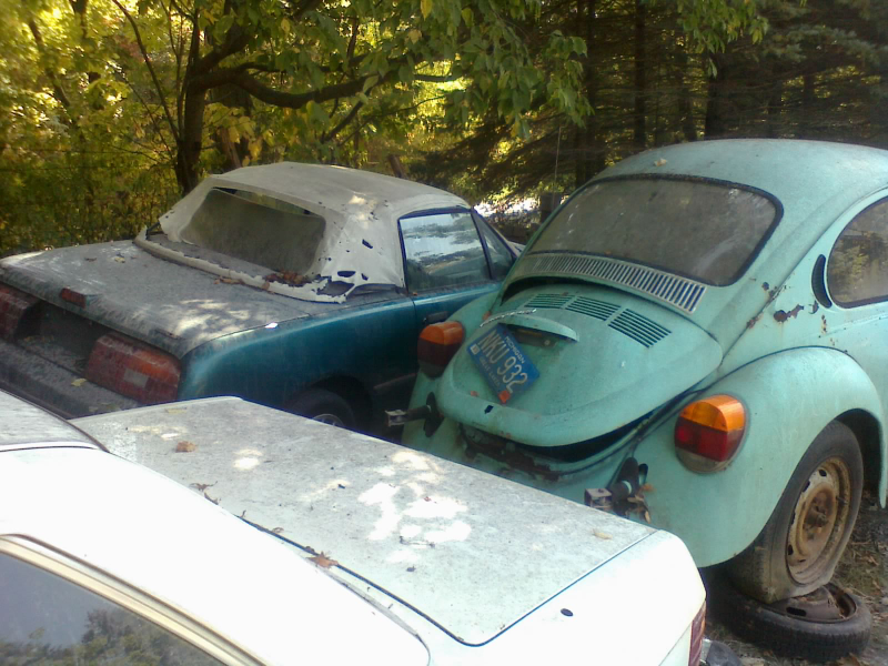 Illustration for article titled I Visited That Must-Sell Car Collection